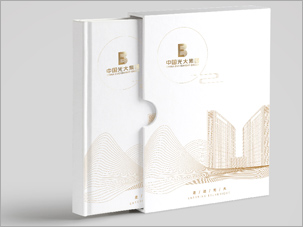 中國光大集團(tuán)畫冊設(shè)計(jì)案例
