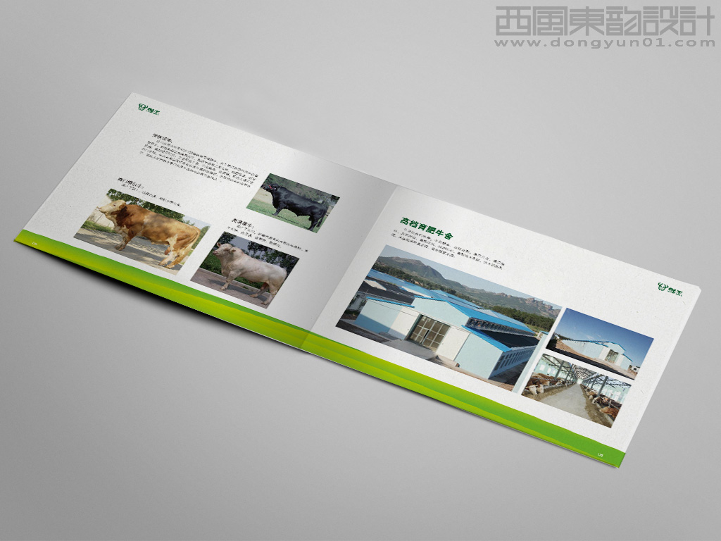 遼寧宏達牛業(yè)發(fā)展有限公司悅牛品牌畫冊育牛舍內(nèi)頁設計
