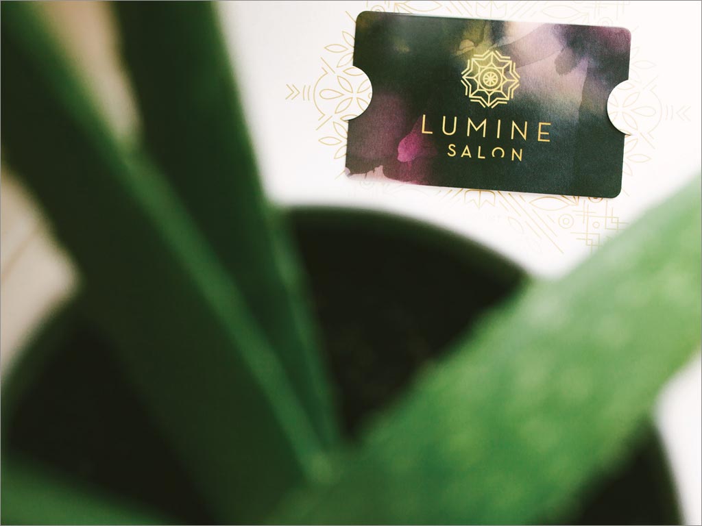 美國Lumine Salon美容美發(fā)沙龍會員卡設計